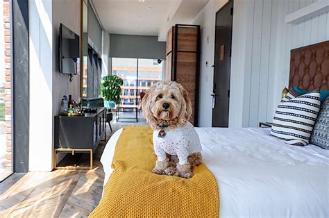 pet friendly hotels in hampton va|Pet